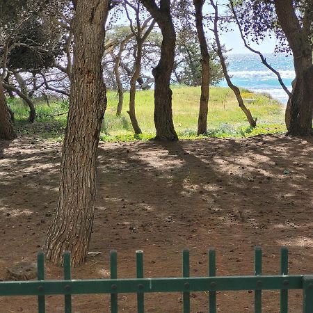 Апартаменты Fronte Pineta Mare Rivabella Экстерьер фото
