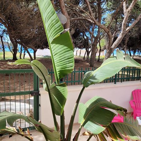 Апартаменты Fronte Pineta Mare Rivabella Экстерьер фото